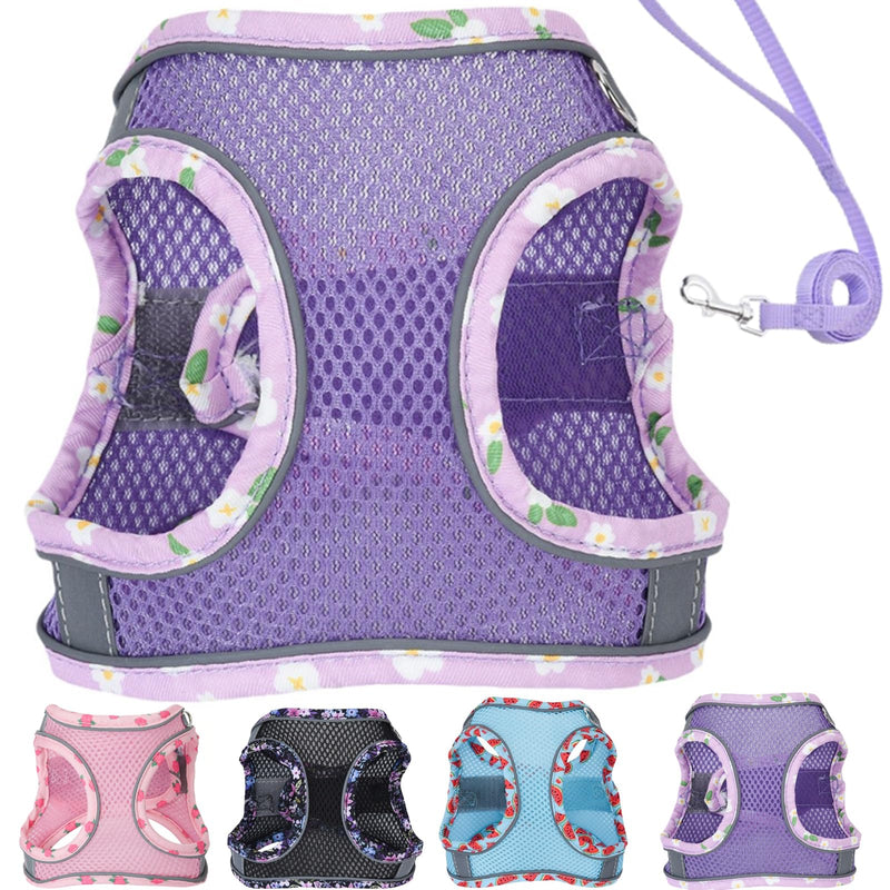 Petank Dog Harness for Small Medium Dogs No Pull, Puppy Harness and Leash Set, Mesh Adjustable Breathable Light Vest for Walking, Running, Training. (Purple, S) Purple - PawsPlanet Australia