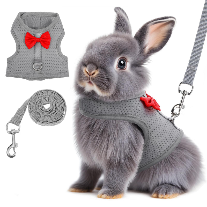 Rabbit Harness and Leash Set,Bunny Leash for Walking Escape Proof,Bunny Clothes with Cute Bow Mesh Breathable Adjustable Vest Rabbit Harness Camping Hiking Training for Ferret Kitten Puppy (Grey M) - PawsPlanet Australia