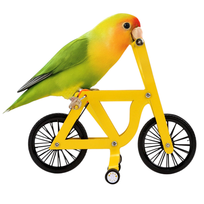 Bird Intelligence Training Toy Mini Bicycle Parakeet Parrot Bike Trick Educational Puzzle Bird Foot Talon Toy for Small Medium Lovebird Conures Cockatoo Exercising Interactive Table Top Prop, Large - PawsPlanet Australia