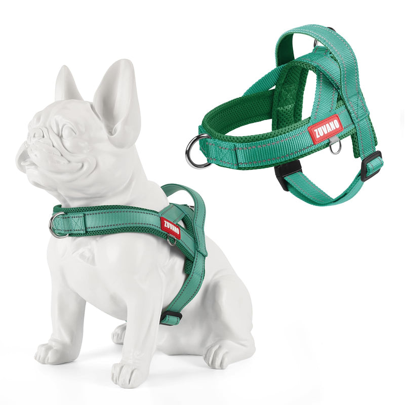 Green Dog Harness, No Pull Escape Proof Emotional Support Durable Harness with Vertical Padded Handle - Soft Breathable Mesh Vest with Front Clip and Quick Release Buckle, L Large Green - PawsPlanet Australia