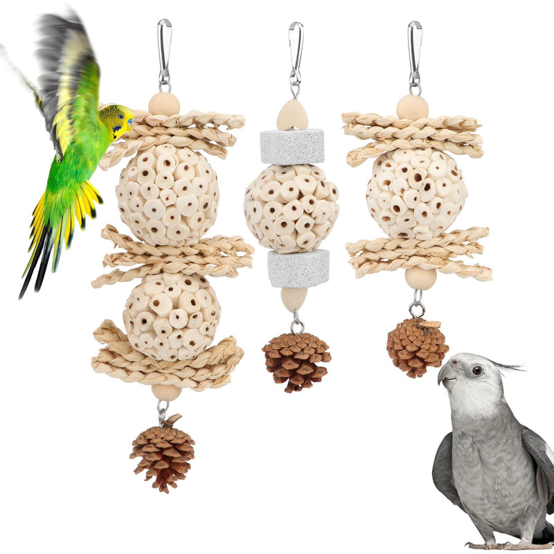 Wontee Bird Toys 3 Pack Parrot Foraging Hanging Toys Sola Ball Natural Nuts Chew Toys for Cockatiels Conures Parakeets Budgies Senegal (3 Pack) - PawsPlanet Australia