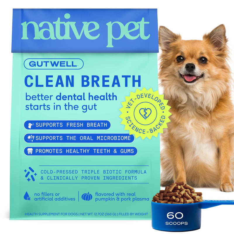 Native Pet GutWell Clean Breath - Dog Breath Freshener & Dog Dental Powder - Teeth Cleaning to Reduce Plaque & Tartar - Promotes Fresh Breath with Targeted Triple-biotic Dental Care Blend - 60 Scoops - PawsPlanet Australia
