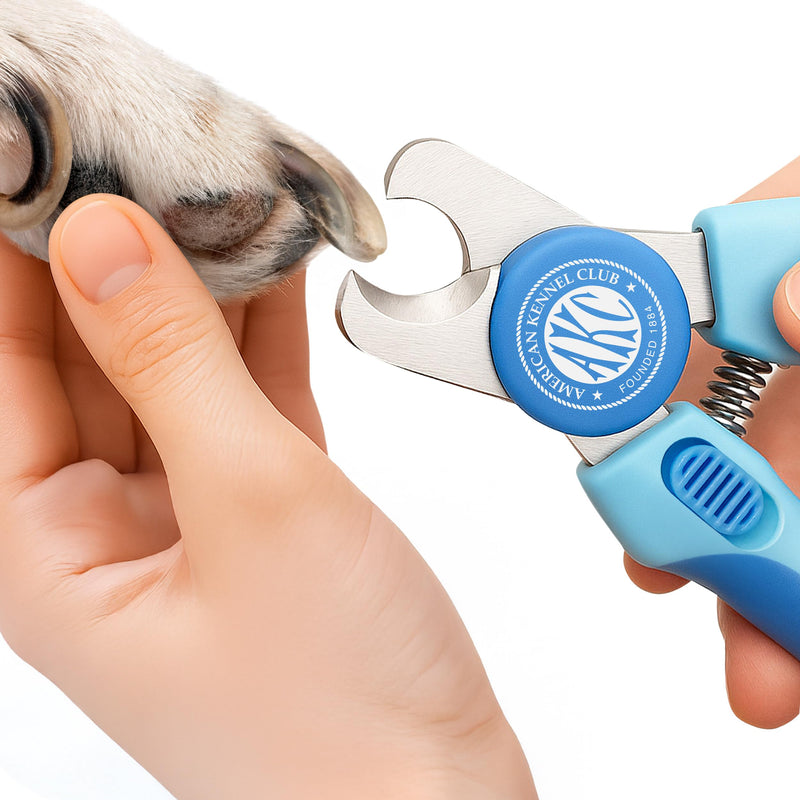 AKC - Dog & Cat Nail Clippers & Filer | Professional Pet Grooming Tool with Stainless Steel Blades | Safety Guard & Easy Grip Handle | Durable & Anti-Slip | Safe for Small, Medium & Large Pets Nail Clipper - PawsPlanet Australia