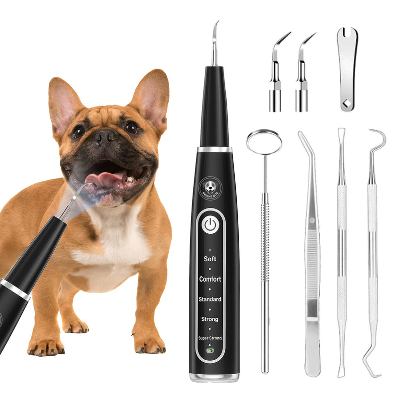BRIGHT BITE™ | Ultrasonic Plaque Remover for Teeth | Dog Toothbrush; Cat Toothbrush | Quiet Tartar Remover | Dog Accessories | Teeth Cleaning Tools| Doggie Dental Scaler | Dental Tools | USB-C - PawsPlanet Australia