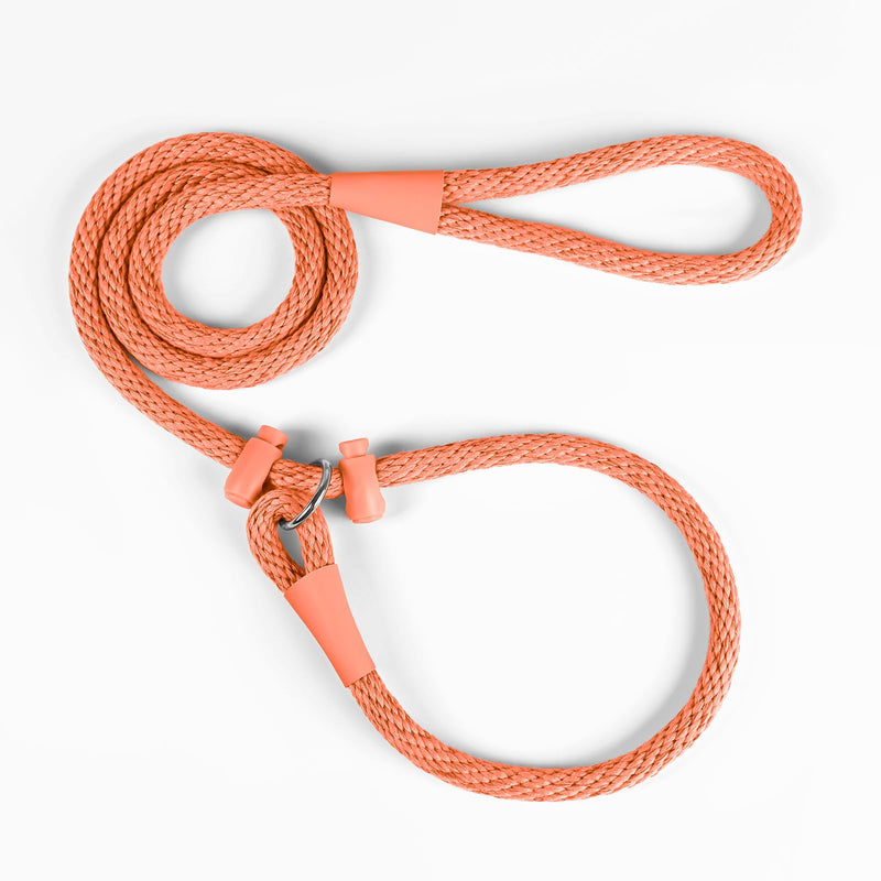Lynxking Dog Leash Slip Lead Reflective Breathable Rope Comfortable Strong No Pull Slip On Pet Training Lead for Dogs Small 3/8 inch x 6ft Orange - PawsPlanet Australia