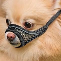 Dog Muzzle for Small Medium Dogs to Prevents Biting for Brachycephalic Dogs,Chihuahua Pom Shih Tuz,Short Snout Friendly,Soft Breathable Lightweight Mesh,Open Front,for Grooming Vet Visits (Black, XS) Deep Black XS Snout (5.3"- 5.7") - PawsPlanet Australia