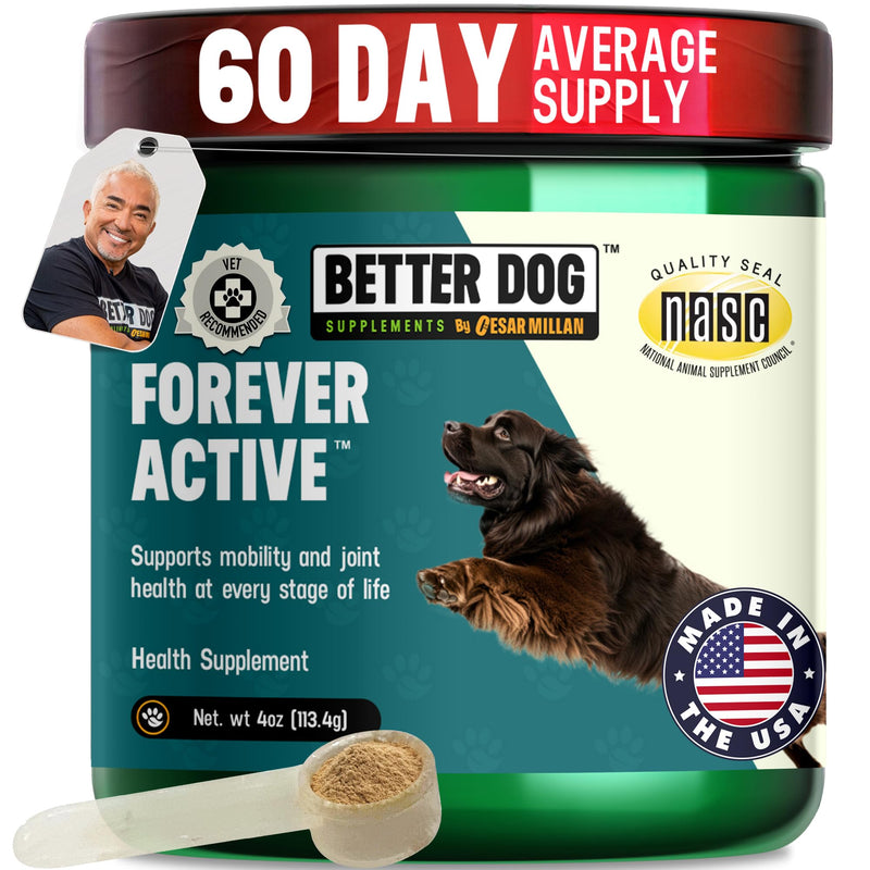 Better Dog Supplements Forever Active by Cesar Millan – Natural Hip & Joint Support Powder for Dogs – Mobility, Flexibility & Comfort with Boswellia, Devil’s Claw & Herbal Blend – 4oz (60-Day Supply) - PawsPlanet Australia