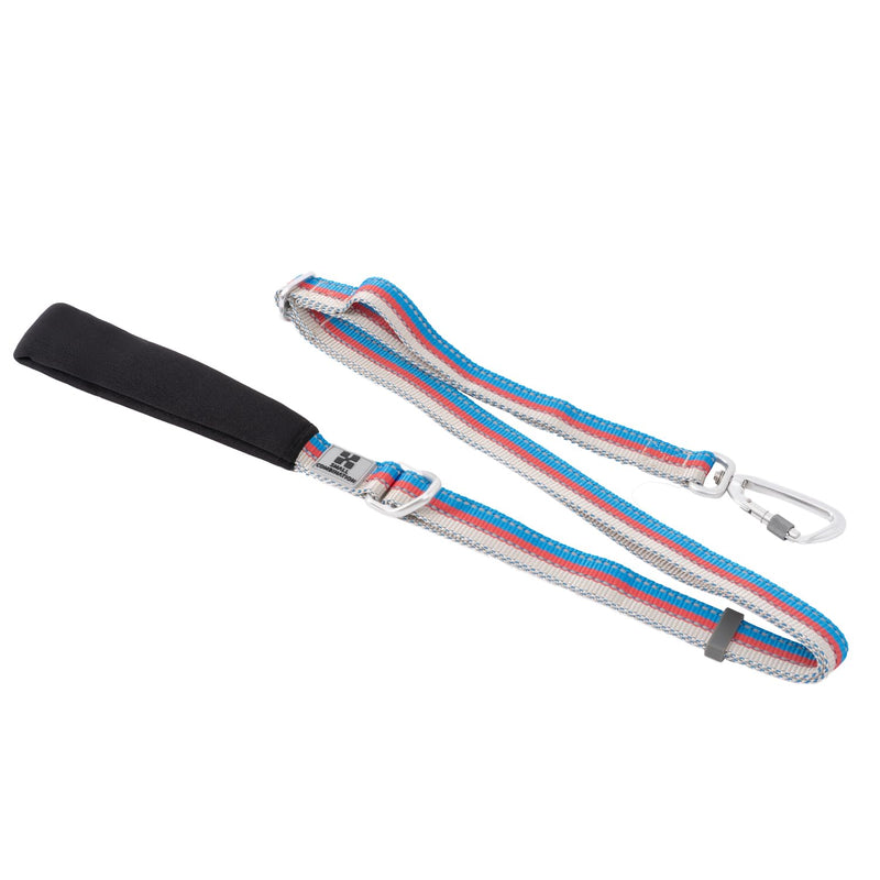 Reflective Dog Leash | Heavy-Duty Nylon Webbing & Aircraft Alloy Hooks | Adjustable (117-177cm) with Padded Handle | Yellow/Black/Blue/Aqua/Orange/Red (C/Blue, L/2.5CM) C/Blue - PawsPlanet Australia