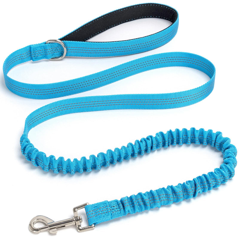 Bungee Dog Leash- 5FT Shock Absorbing & Reflective Nylon Leash | Anti-Pull Training for Small/Medium Dogs | 2cm Wide, 6 Colors (Teal) Teal - PawsPlanet Australia
