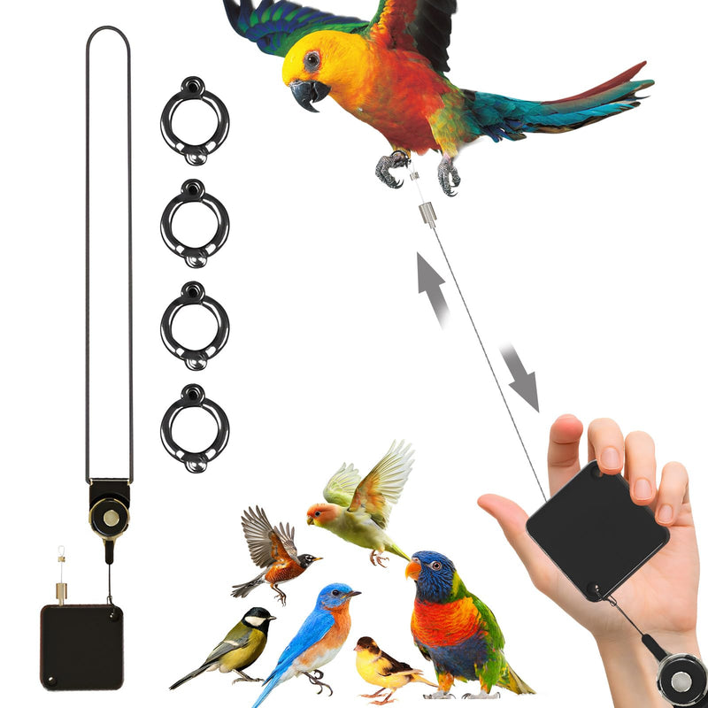 Parrot Leash Bird Leash Scalable Anti-Bite Flight Training Rope for Budgies Cockatiels Psittacula Longicauda Mini Macaws with Foot Rings (Black, Foot Ring No. 6) Black - PawsPlanet Australia