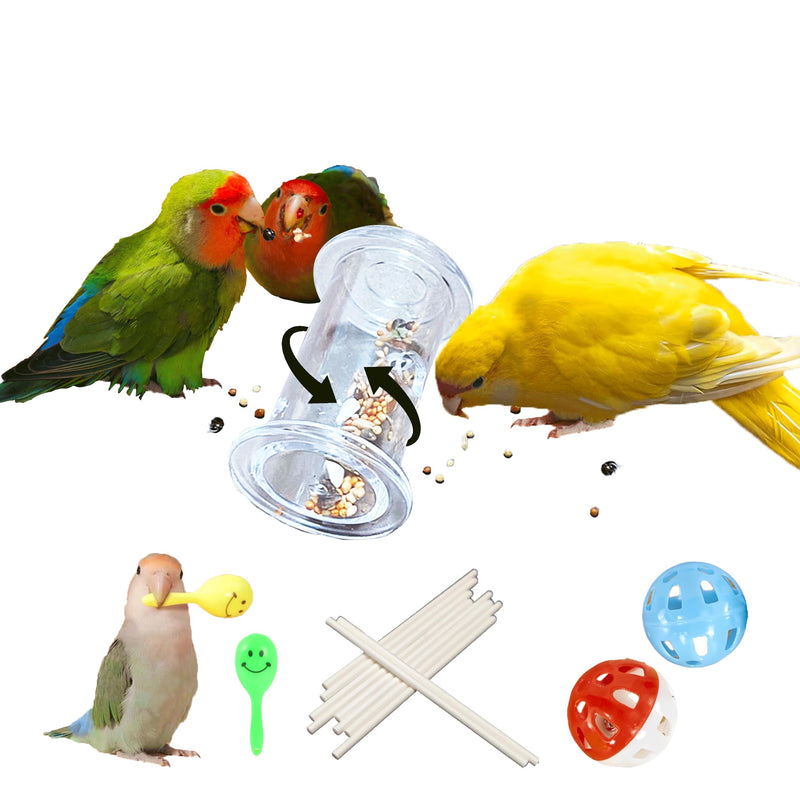 Bird Foraging Toys,Parrot Training Toys,Parrot Interactive Toys to Increase Feeding Time, Bird Enrichment Toys for Small and Medium Parrots,Cockatiel,Parakeet,Conures,Budgie,(Random color for gitfs) - PawsPlanet Australia