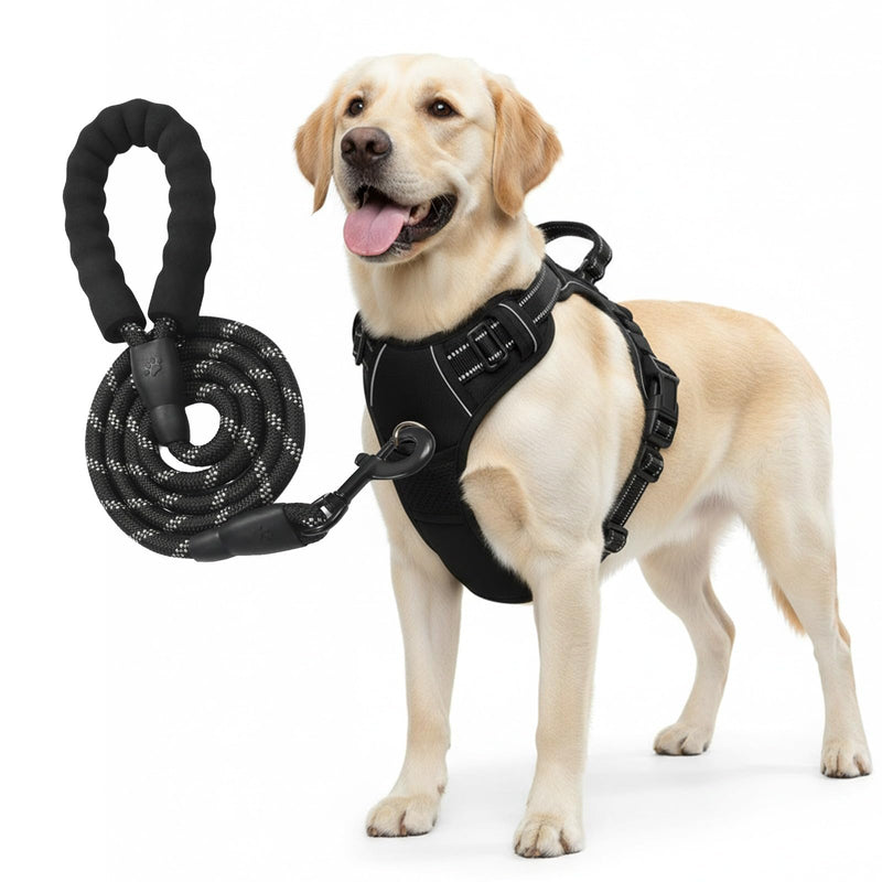 No Pull Dog Harness and Leash Set for Large Dogs – Adjustable Reflective Breathable Soft Padded Easy Control Dog Harness for Training & Walking, Black (Large) Large (Neck: 14.2"-22.4", Chest: 18.9"-33.1") - PawsPlanet Australia