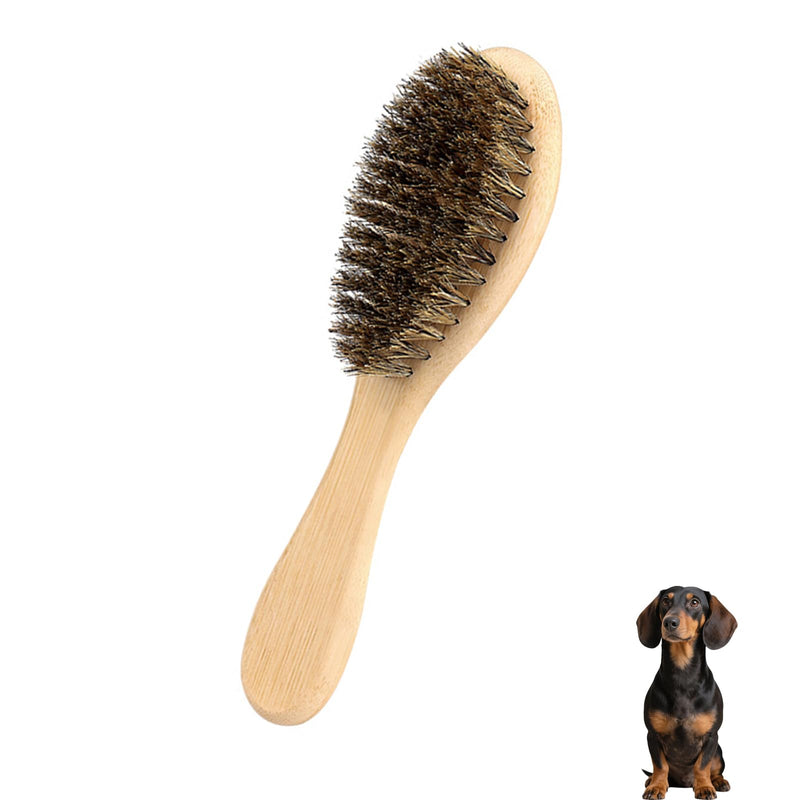 Soft Boar Bristle Dog Brush for Short Haired, Gentle Deshedding & Grooming Tool, Ideal Pet Hair Brush, Puppy Essentials for Grooming and Shedding, Small - PawsPlanet Australia