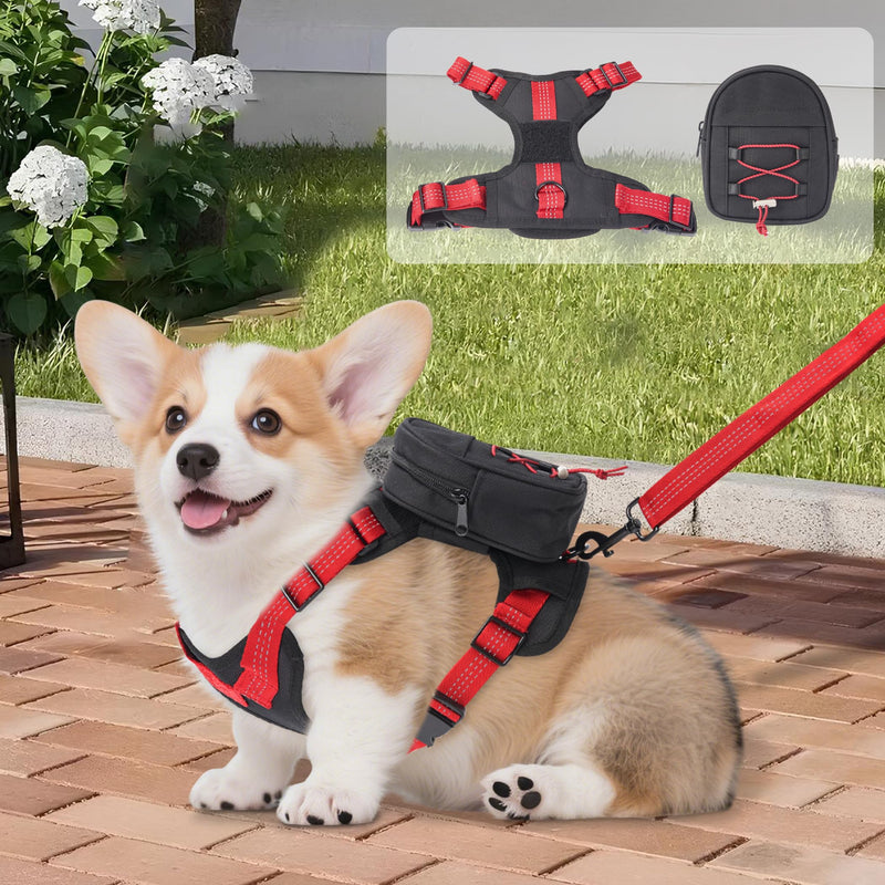 Dog Backpack Harness for Small and Medium Dogs, Adjustable Lightweight Carrier with Detachable Backpack and Leash, Water Resistant for Hiking, Training, and Daily Walks, M - PawsPlanet Australia
