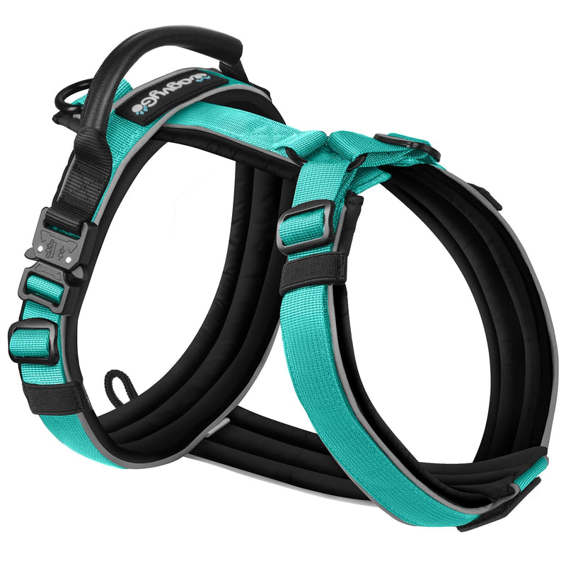 Premium Y-Shaped Dog Harness for Training & Daily Walk,No-Pull Adventure Harness with Handle & 3 Leash Hook Points,Durable Nylon (Turquoise, M (Neck 48-74cm, Chest 58-81cm)) Turquoise M (Neck 19″ - 27″, Chest 24″ - 30″) - PawsPlanet Australia