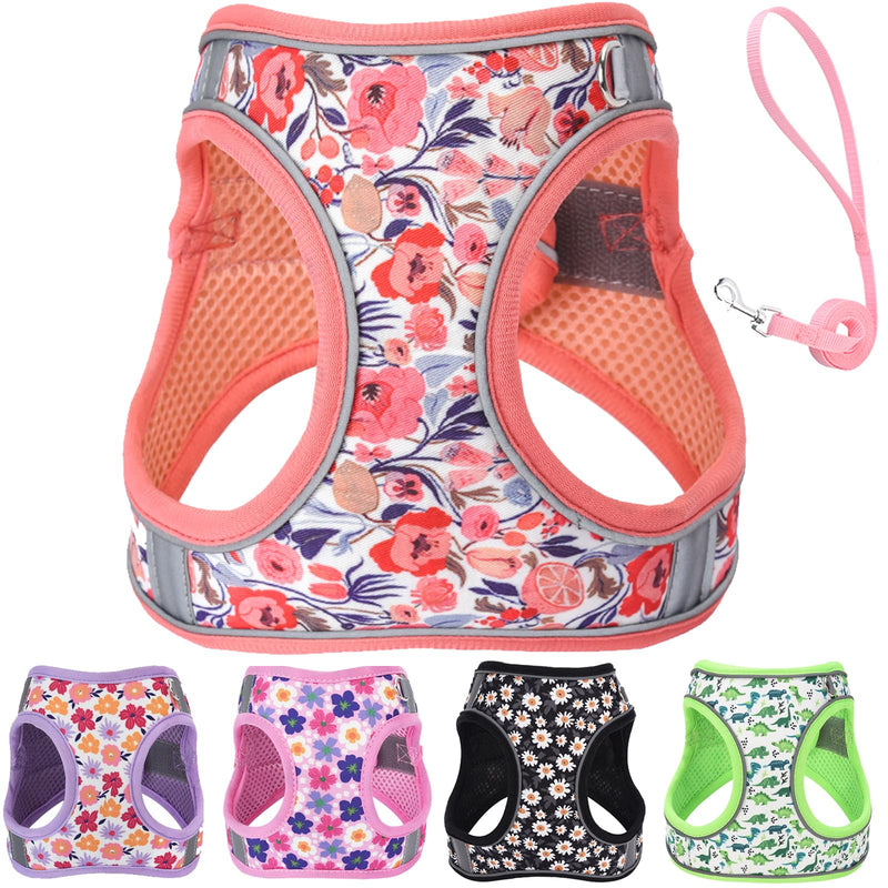 XXS Dog Harness and Leash Set, Step in Dog Harness No Pull for Walking Running Training, Puppy Essentials for Dogs Cat Bunny, Adjustable Reflective Dog Vest Harness. (Orange, XXS) Orange - PawsPlanet Australia