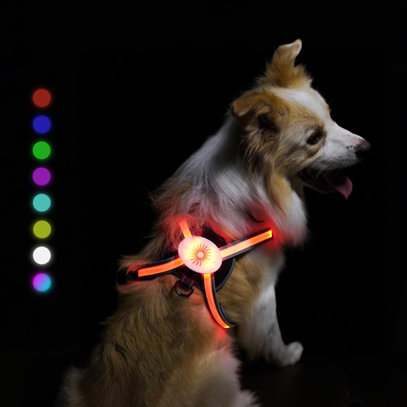 Light Up Dog Harness 2025 LED Dog Harness with RGB Multi-Color Mode & Super Bright TPU Strip, USB Rechargeable, Waterproof, Adjustable Glow in The Dark Harness for Night Walking Safety, Avoid Accident S - PawsPlanet Australia