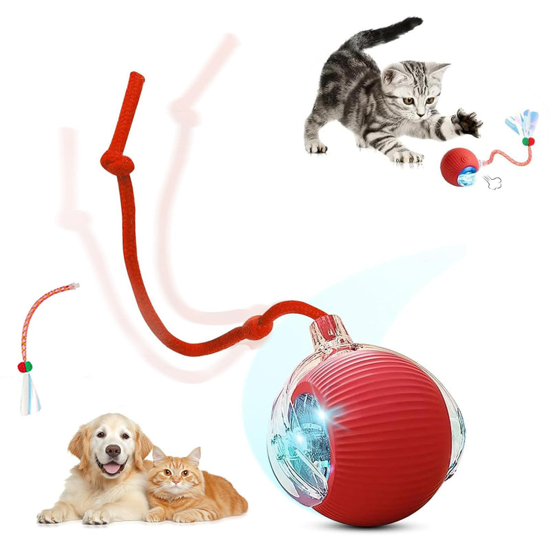 Interactive Cat Toys for Indoor Cats, Motion Activated Cat Ball with 3 Speeds, 2 Replaceable Tails, Safe Material Kitten Toys, USB Charging, 360° Smart Rolling Ball for Bored Adult Cats and Dogs - PawsPlanet Australia