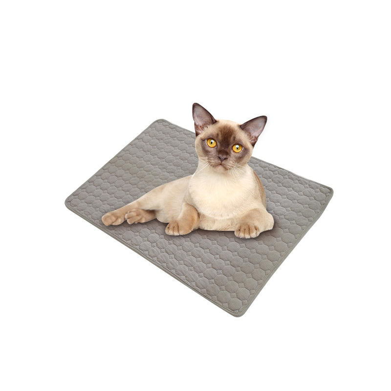 Dog Bed Mat - Washable Pet Furniture Protector with Anti-Slip Bottom for Dogs and Cats, 23 x 19 Inch, Dark Gray - PawsPlanet Australia