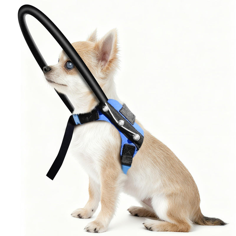 Blind Dog Halo Harness, Protective Collar and Guiding Device for Blind Dogs, Adjustable Confidence-Building Harness, Safe Navigation Aid for Pets (XXS) XXS - PawsPlanet Australia