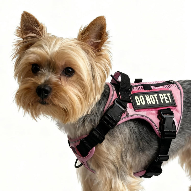 Tactical Dog and Cat Harness for XS and Small Puppy, Air Pet Vest No Pull with Reflective Do Not Pet Patches, Breathable Dog Molle Vests for Training Walking Hunting Camo Pink S - PawsPlanet Australia