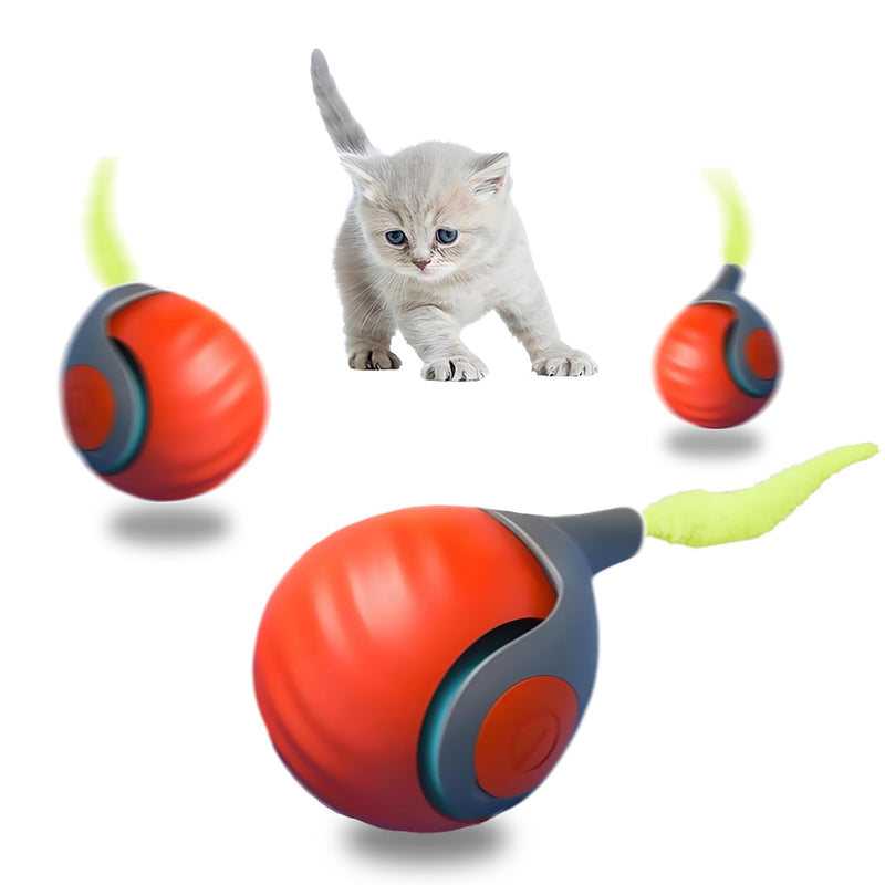 Automatic Cat Ball Toy with 2 Feather Tails - Rechargeable Interactive Cat Toys, 2-Speed Motion Activated Roller for Indoor Cats to Relieve Boredom (Small/Medium/Large Cats) (Orange) Orange - PawsPlanet Australia