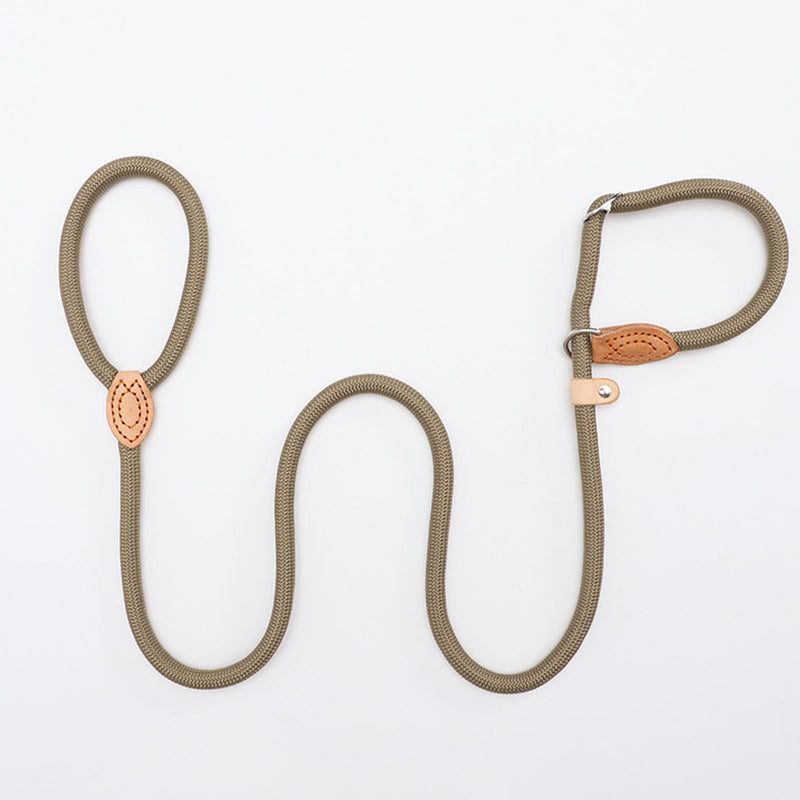 Slip Lead Dog Leash,Comfortable NBR Handle,Nylon Rope Lead for Control Safety Training,Preventing Dogs from Suddenly Rushing,Leashes for All Dogs (Basic Style?Beige-5ft*3/8inch) - PawsPlanet Australia