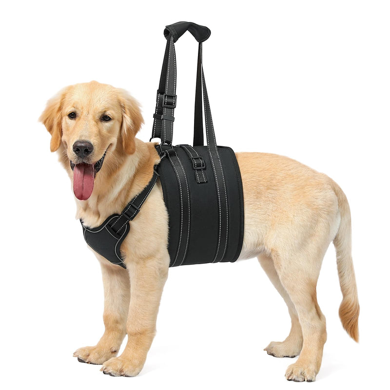 NOYAL Dog Lift Harness Sling - Adjustable Pet Carrier for Senior Dogs with Arthritis Joint Injuries, Emergency Support Rehabilitation Aid for Nail Trimming, Stairs Assistance Medium Black1 - PawsPlanet Australia