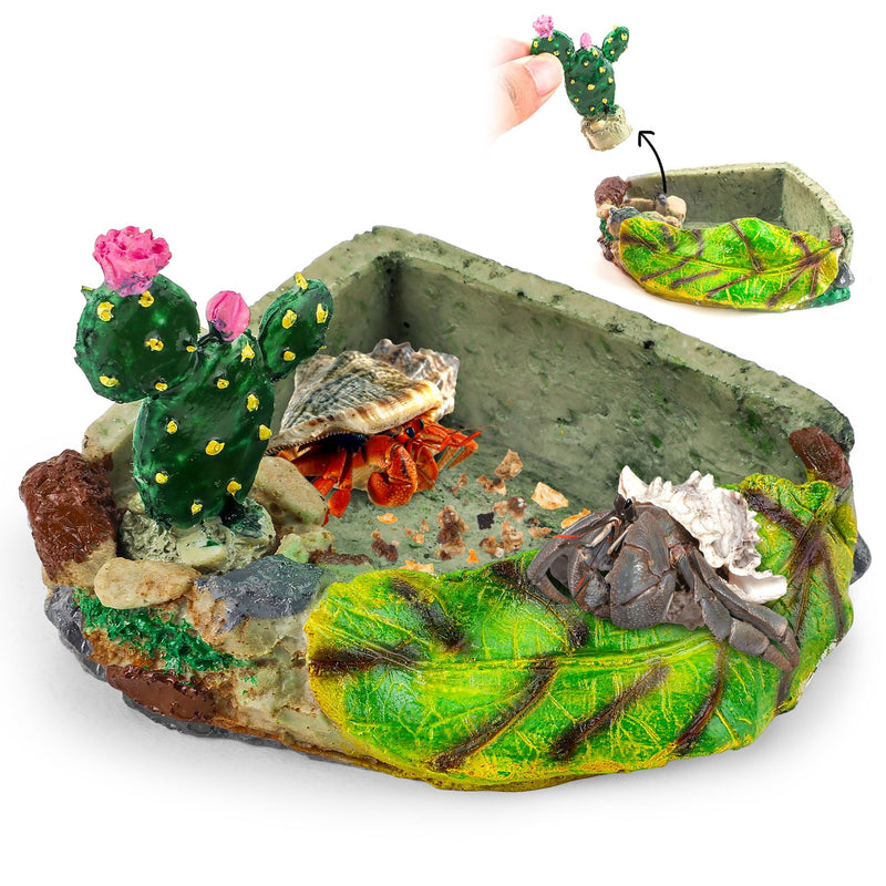 U0U Hermit Crab Food Dish,Resin Hermit Crab Food and Water Bowl,Hermit Crabs Water Bowl with Climbing Ramp and Hermit Crabs Accessories Decor (Green) Green - PawsPlanet Australia