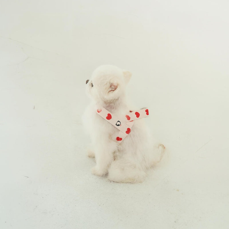 Heart Small Dog Harness – Soft Webbing, Front & Back Clip, No-Pull Design, Lightweight (Ivory, Medium) Ivory - PawsPlanet Australia