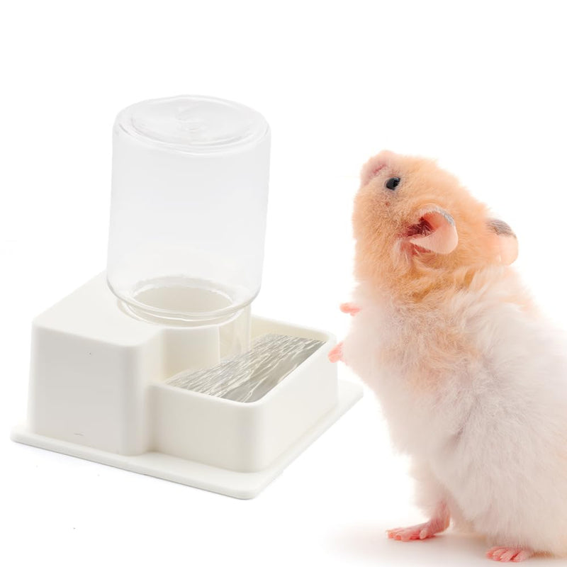 1 Pack Hamster Water Bowl Automatic Water Dispenser for Hamster Syrian Mice Gerbil Rodent (White) - PawsPlanet Australia
