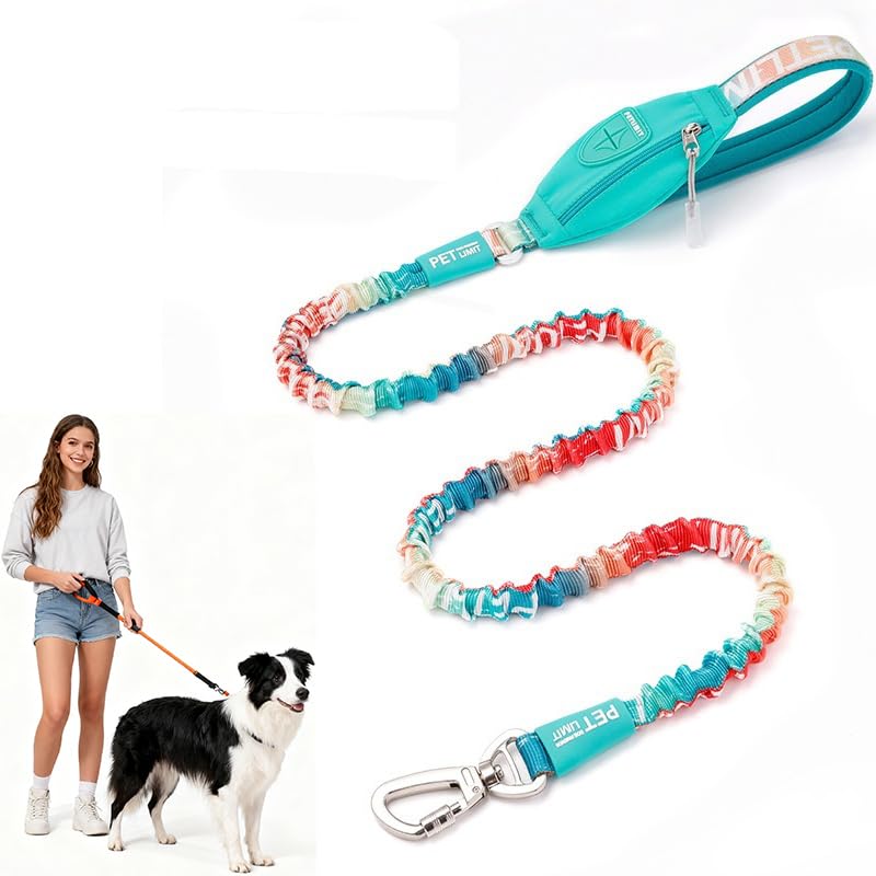 Upgraded Heavy Duty Bungee Dog Leash with Poop Bag Holder – Shock Absorbing Reflective Leash with Durable Nylon, Padded Handle & Alloy Clasp for All Dog Breeds, Retractable 3.8FT~5.8FT(Gradient Blue) Gradient Blue - PawsPlanet Australia