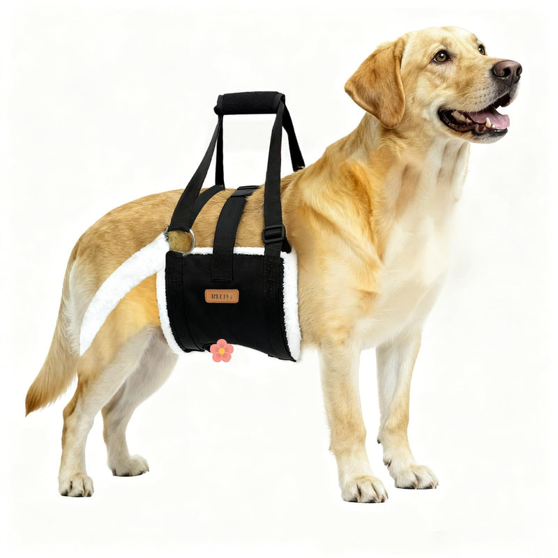 Dog Lift Harness Sling for Large Dogs - Adjustable Rear Leg Support with Padding & No-Slip Back Fixed Buckle, Hip Dysplasia/ACL/TPLO Surgery Recovery Aid, Dog Harness for Injured,Disabled/Senior Dogs L - PawsPlanet Australia