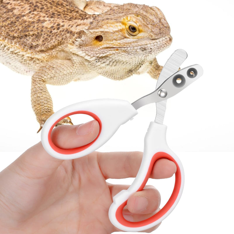 Stainless Steel Bearded Dragon Nail Clippers, Lizard Nail Clippers, Bearded Dragon Tank Accessories, Beardedd Dragons Accessories, Pet Nails Clipper for Small Reptiles,Turtle,Chameleon - PawsPlanet Australia