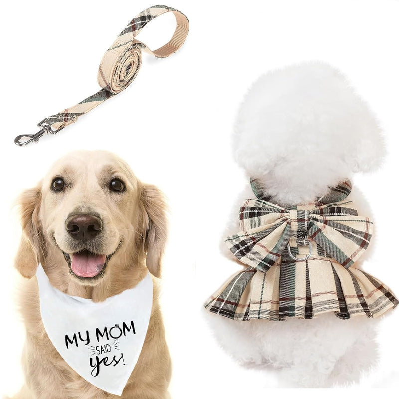PUPTECK Engagement Dog Bandana with Dress Leash Set - PawsPlanet Australia