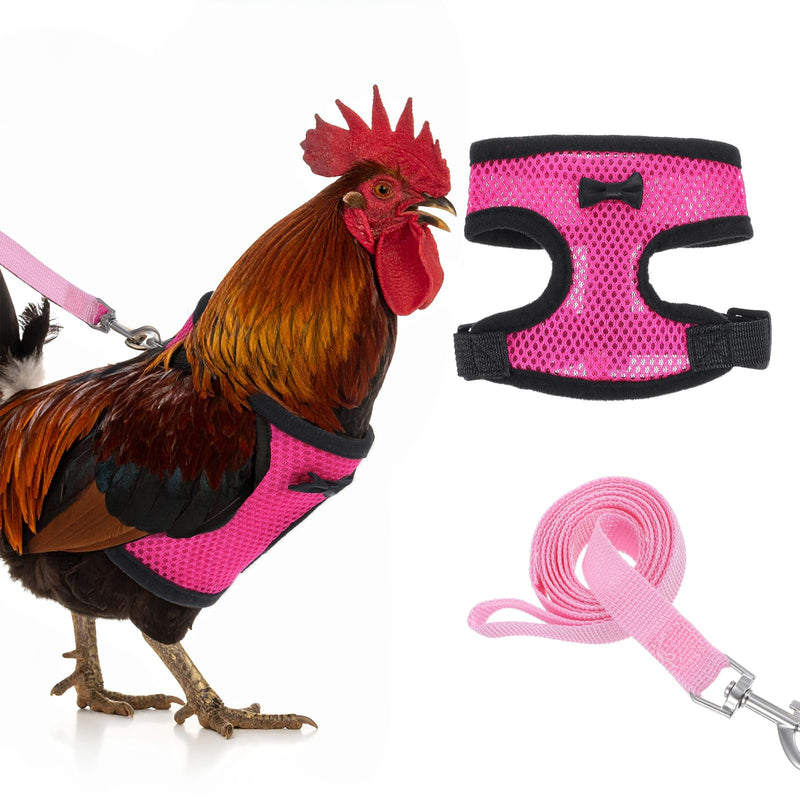 Chicken Harness with Leash Set, Upgraded Double Adjustable Mesh Breathable Chicken Training Harness, Pets Leash for 3-4 Lb Hens Duck Goose Small Pets Training Walking Supplies (Pink) - PawsPlanet Australia