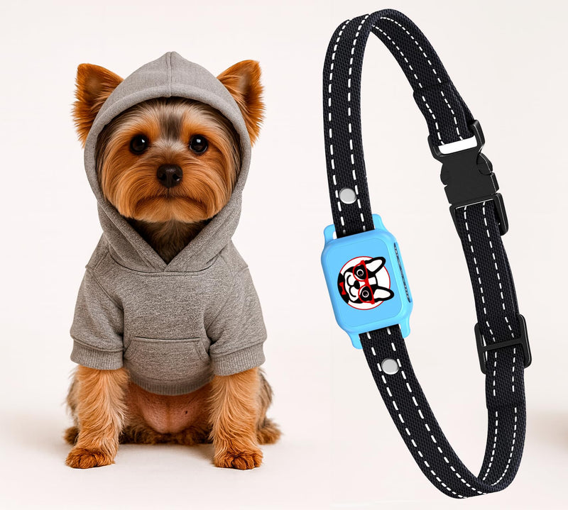 Bark Collar for Small Dogs 5-15 lbs with Magnetic Charging – No Shock, 3 Beep & Vibration Modes, 5 Sensitivity Levels – Humane Stop Anti-Barking Device – Dog Training Bark Collar (Emerald) - PawsPlanet Australia