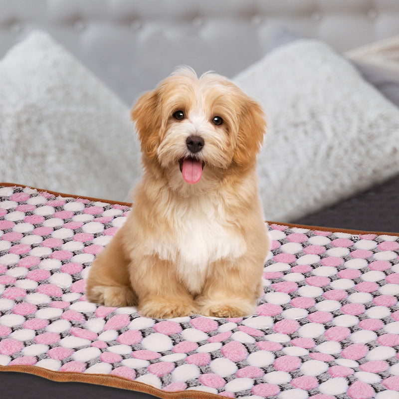 Pet Blanket, Medium Soft Fluffy Flannel Dot Printed Throw Blanket, Scratch Proof Furniture Protector Cover 30x42 Inches, (Pink, 1 Pack 3), Intended for Dog/Cat Pink - PawsPlanet Australia