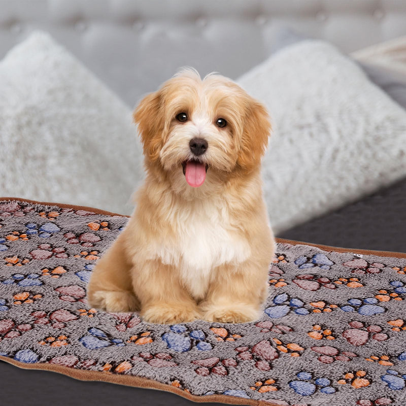 Pet Blanket, Medium Soft Fluffy Flannel Paw Printed Throw Blanket, Scratch Proof Furniture Protector Cover 30x42 Inches, (Black, 1 Pack 3), Intended for Dog/Cat Black - PawsPlanet Australia