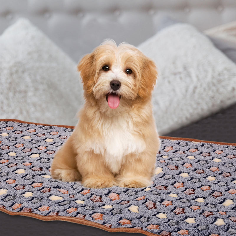 Pet Blanket, Medium Soft Fluffy Flannel Star Printed Throw Blanket, Scratch Proof Furniture Protector Cover 30x42 Inches, (Blue, 1 Pack 3), Intended for Dog/Cat Blue - PawsPlanet Australia