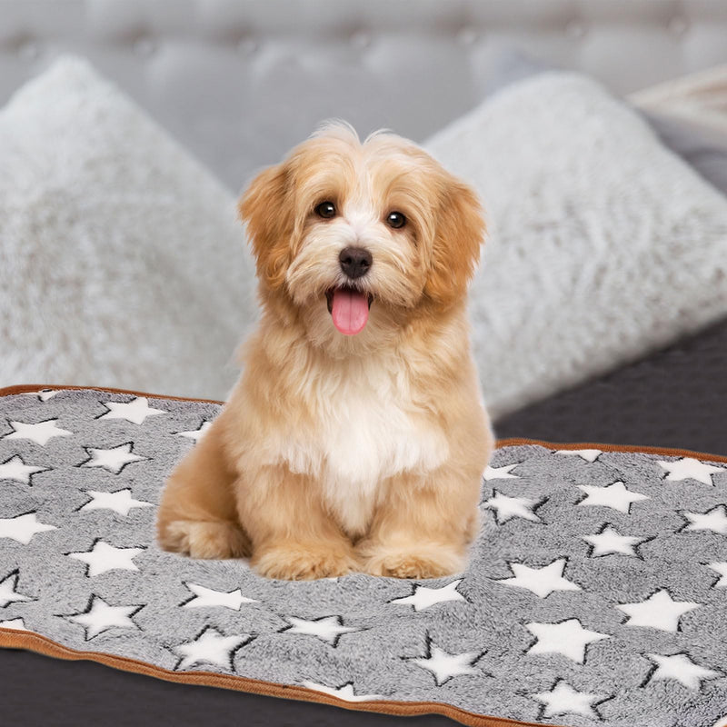 Pet Blanket, Medium Soft Fluffy Flannel Star Printed Throw Blanket, Scratch Proof Furniture Protector Cover 30x42 Inches, (Gray, 1 Pack 3), Intended for Dog/Cat Gray - PawsPlanet Australia
