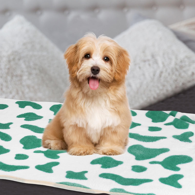 Pet Blanket, Medium Soft Fluffy Flannel Cow Printed Throw Blanket, Scratch Proof Furniture Protector Cover 30x42 Inches, (Blue, 1 Pack 3), Intended for Dog/Cat Blue - PawsPlanet Australia