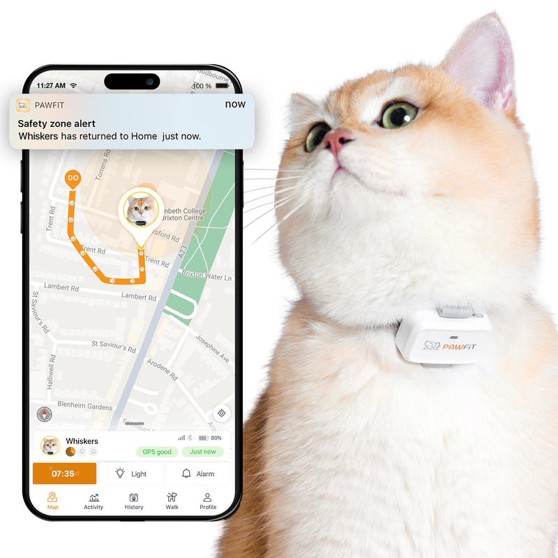Lite for Cats 4g GPS Tracker | Real Time Tracking | Activity Monitoring |Location History | Unlimited Range | Safety Collar Included | Simply White - PawsPlanet Australia