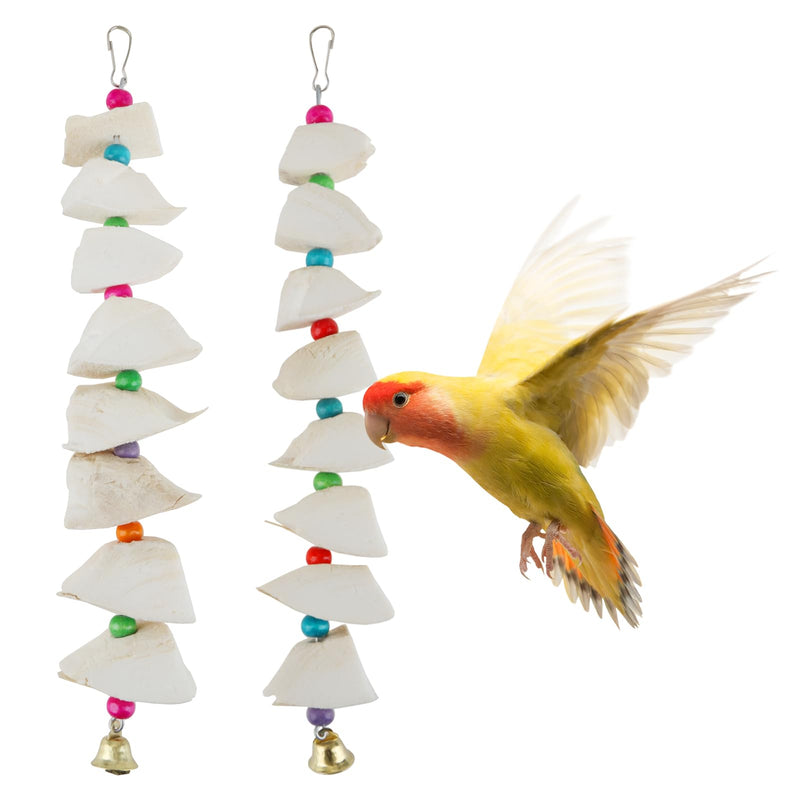 2 Pack Parrot Toys with Cuttlebone, Bird Beak Grinding Stone, Natural Bird Toys for Parakeets, Cage Accessories for Budgies, Cockatiels, Lovebirds, Conures, Small to Medium Birds - PawsPlanet Australia