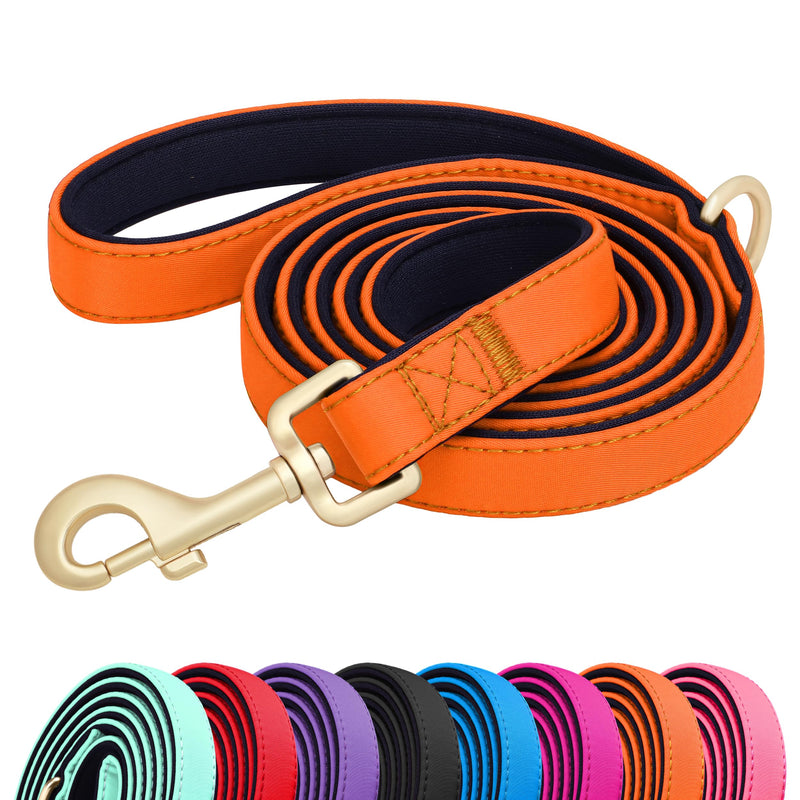 Didog 5FT Colorful Nylon Dog Leash with Soft Full-Length Padding, Lightweight and Durable Pet Leash for Medium and Large Dogs, Orange, M M: Width 3/4" - PawsPlanet Australia