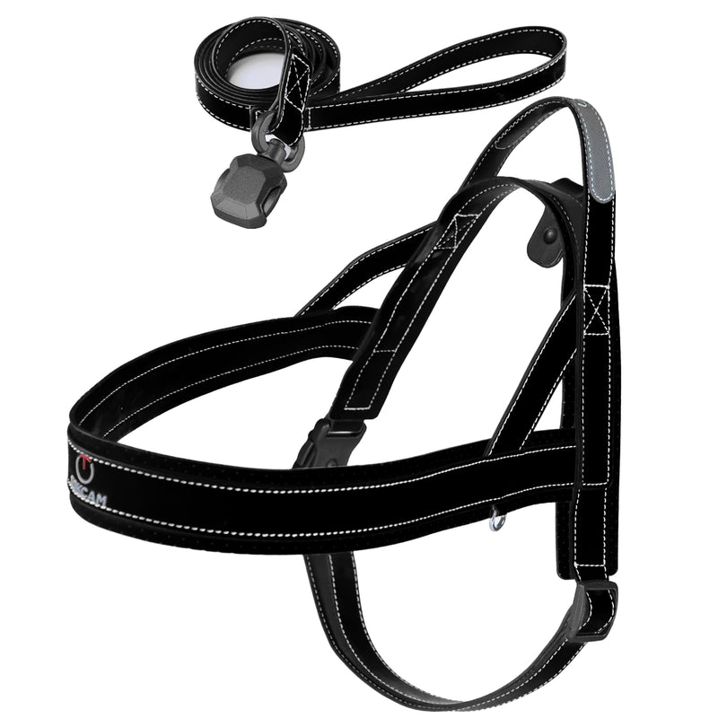 Magnetic Dog Harness and Leash Set with Quick Release Buckle, Easy On & Off Faux Leather Puppy Harness and Leash with Handle for Medium, Large Sized Dog Black X-Large - PawsPlanet Australia