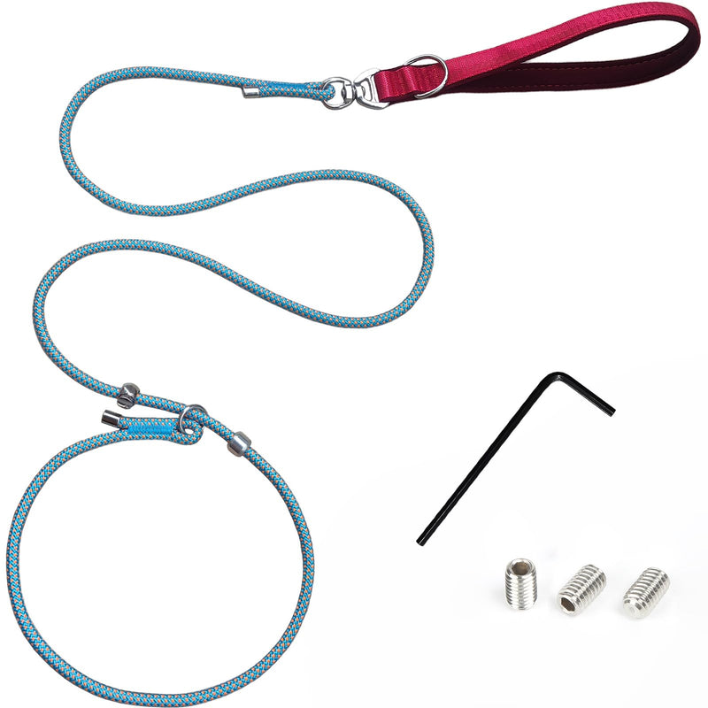 Slip Leads for Dogs with Comfort Memory Foam Handle & Rock Climbing Rope, 5.9FT Heavy Duty No-Pull Leash, 360° Swivel with Screw Lock for Small Medium Large Dogs (Blue) - PawsPlanet Australia