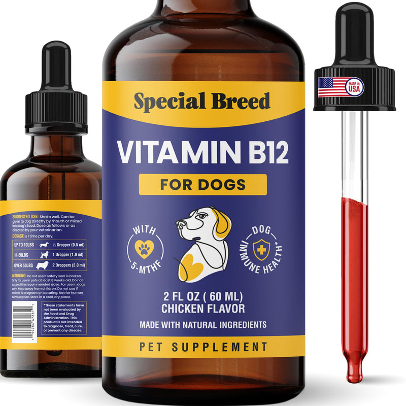Special Breed Liquid Vitamin B12 for Dogs – Methylcobalamin and 5-MTHF – Boosts Energy, Appetite, Mood & Immune System Support, Easy-to-Use Dropper - Chicken Flavor, 2 fl oz - PawsPlanet Australia