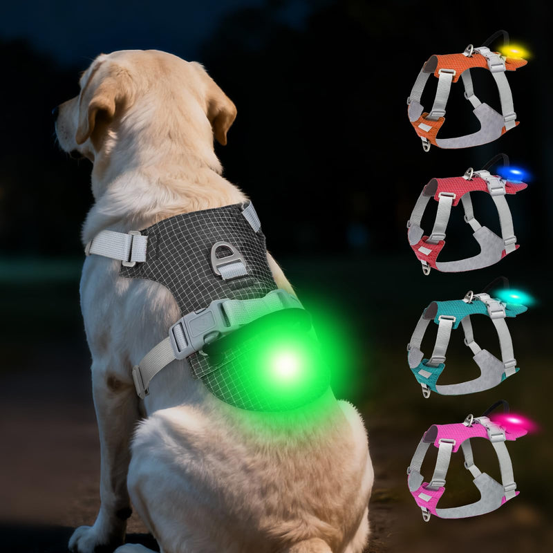 Joytale Lightweight Light Up Dog Harness, Rechargeable No-Pull LED Dog Harness with Detachable Light Box, Airtag Holder, Adjustable for Night Walking, Running & Everyday Use, Black, L - PawsPlanet Australia