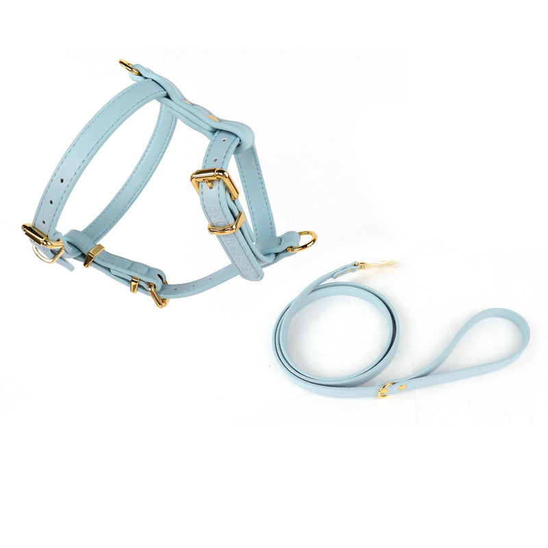 Luxury Dog Harness and Leash Set, Adjustable Padded Pet Harness for Small, to Large Dogs, No Pull H-Shaped Design with Handle, Premium Comfort and Control, Stylish Blue(S) Dog Harness. Small (S) - PawsPlanet Australia